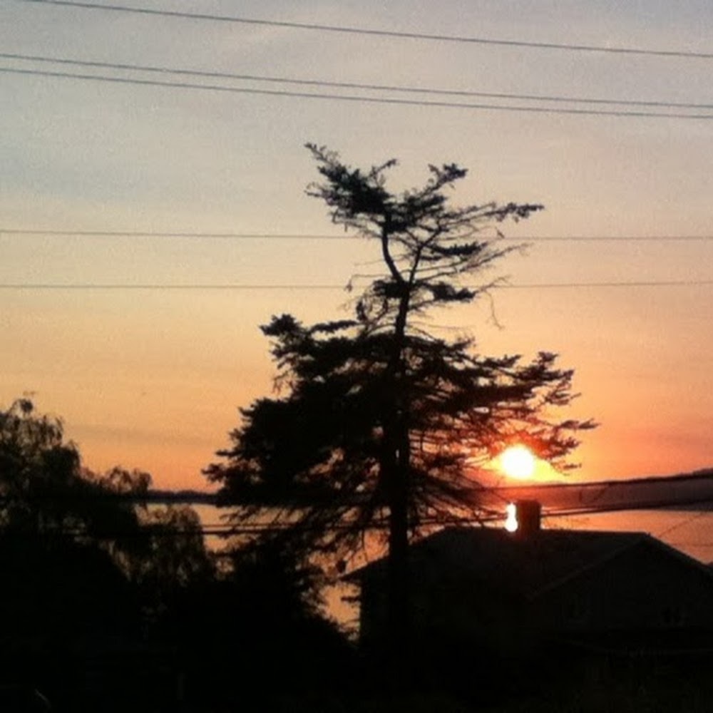 Meet your Posher, Thivya